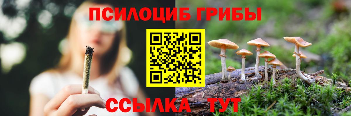 Рославль  где найти   Вход с VPN  Псилоцибиновые грибы Magic Shrooms 